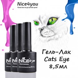 Nice Cats Eye