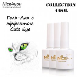 Nice Cool Cats Eye