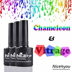 Nice Vitrage & Hamelion