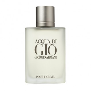 Giorgio Armani Acqua Di Gio Pour Homme edt 100 ml