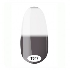 Kodi Termo 8ml №647