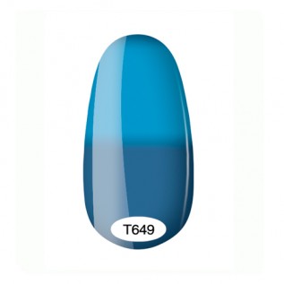 Kodi Termo 8ml №649