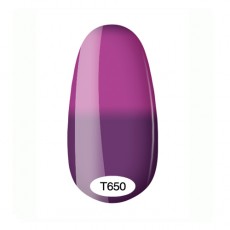 Kodi Termo 8ml №650