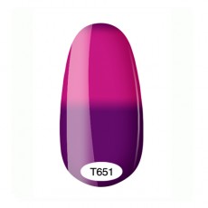 Kodi Termo 8ml №651